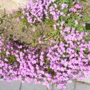 젠틀맨&레이디의원 이미지