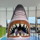 제주 성산 비오는날 아이랑 가볼만한 곳 제주해양동물박물관