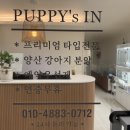 삼호동물병원 | 창원펫샵 퍼피스인