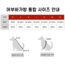 근산 | 견체공학 강아지 어부바3 가방 s size 후기