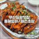 해신초장 이미지