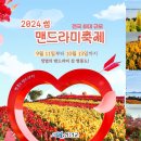 푸른섬사진관