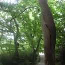 통도사(부산) 이미지