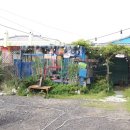 제주물회 이미지