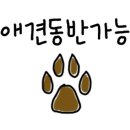 바나나 캠핑장 이미지