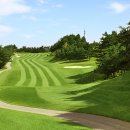 수림프라자 이미지