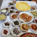 자작나무마을 | 인제자작나무숲 맛집 황태마을점심후기