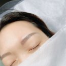 보라눈썹 이미지