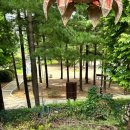 청실보성 이미지