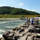 두대로-3 이미지