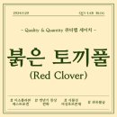 붉은 토끼풀 레드 클로버 여성 갱년기 식물성 에스트로겐 영양제