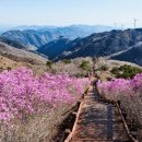 봉황대가든 이미지