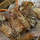 [대전 맛집] 유성 죽동 이자카야, "어른들의 사춘기" ,딱새우랑 연어랑 육회 다먹고옴