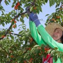 해도농장 이미지