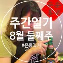 많이 지난 8월 둘째주 주간일기
