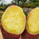 고향자녀농장 이미지