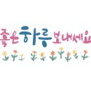 헤이리막스시오