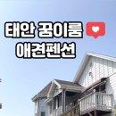 꿈이룸 펜션 이미지