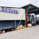 왕림농장 이미지