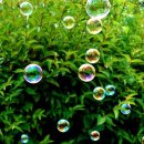 전북국제행정사사무소 이미지