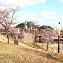 한류월드로 이미지