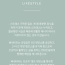 베네비타 네이버블로그