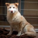 (주)한국티지 이미지