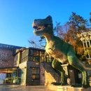 쥐똥섬펜션 이미지