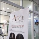 앨리스브로우 이미지