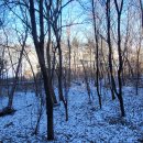 우면산둘레길 이미지