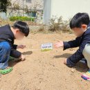 제이그림나라유치원 이미지