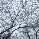명천탕 이미지
