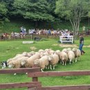 한우마을목장2 이미지