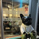 한남성 왕꼬치 이미지