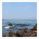 약용식물과 건강약선 이미지