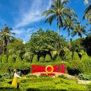 wing car | 푸꾸옥 혼똔섬 케이블카 티켓 예약 키스오브브릿지 입장권 무료