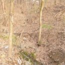 남구-011 이미지