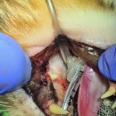 범 동물병원 이미지