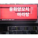 양꼬치랑마라탕