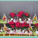 대구광역시시지노인전문병원 이미지