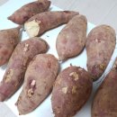 꿀밤농장 | 농라 <담이농장> 유기농 꿀밤고구마 공품5kg 후기