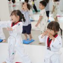 VTA 태권도장 이미지