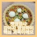 펫영양사 이미지