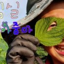 유튜브크리에이터 교육과정 이미지