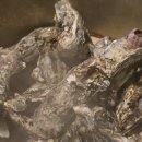 강청식당 | [순천 맛집] 서면 공원식당 : 2026년 새해, 가족들과 함께 즐긴 굴찜 &amp; 어묵탕 파티! ❄️🦪