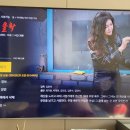 [상영안내] 풍자해학 영화 ‘달의 몰락’ 3월22일 IP-TV 네트워크 개봉 이미지