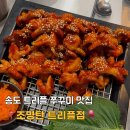 조명탄 | 트리플스트리트 쭈꾸미 맛집 조명탄｜내돈내산 솔직후기 & 메뉴 가격 정보
