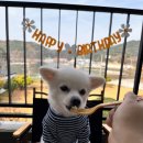 배배앤추 이미지