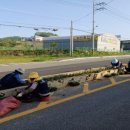 향기가득길 이미지