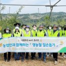 김창선농장 이미지